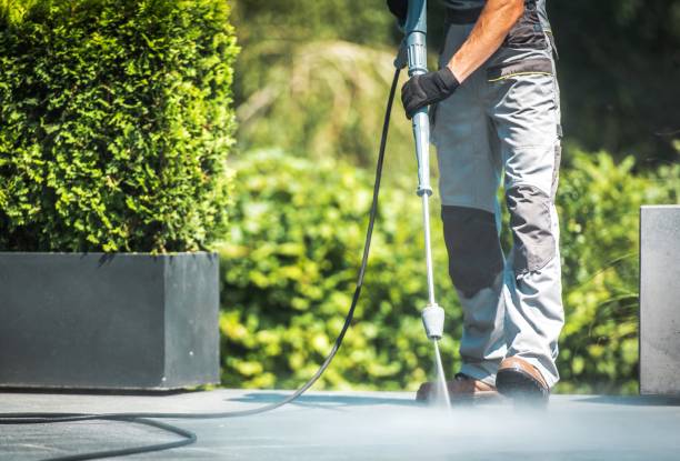 Professional  Pressure Washing Services in Delft Colony, CA
