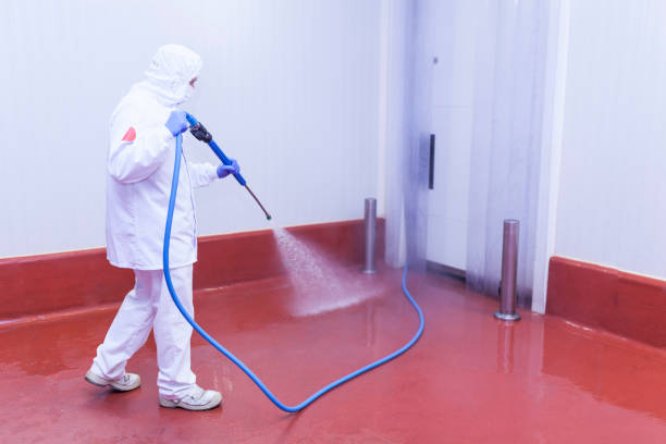 Best Sidewalk and Walkway Cleaning  in Delft Colony, CA