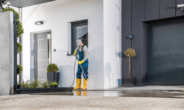 Best Pool Deck Cleaning  in Delft Colony, CA